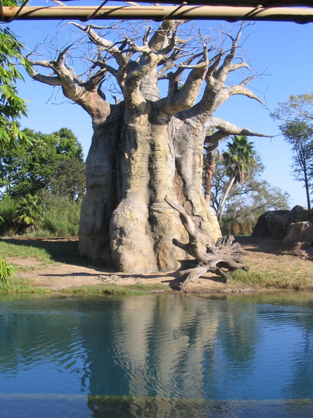 A random Piwigo travel image