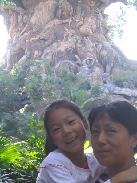 A random Piwigo travel image