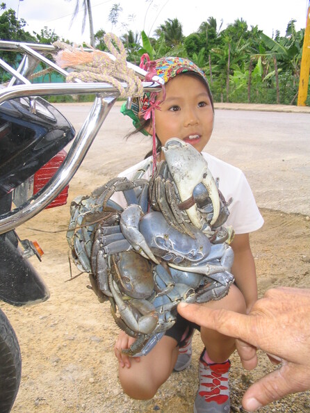 A random Piwigo travel image