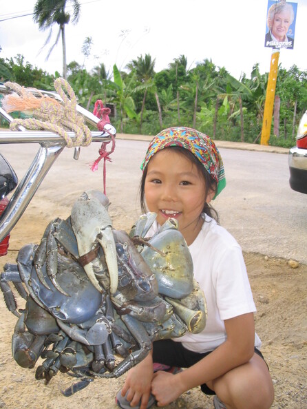 A random Piwigo travel image