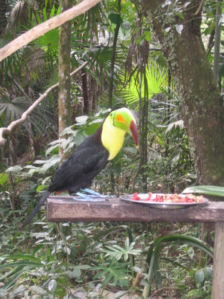 A random Piwigo travel image