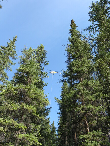 A random Piwigo travel image