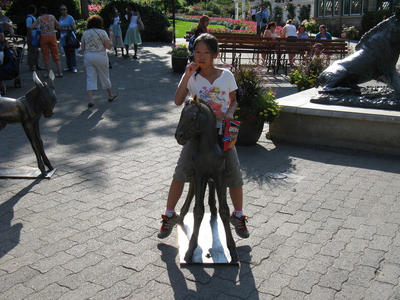 A random Piwigo travel image