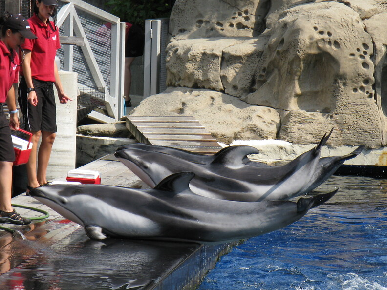 A random Piwigo travel image