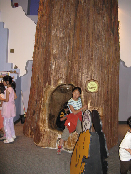 A random Piwigo travel image