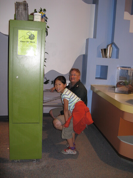 A random Piwigo travel image