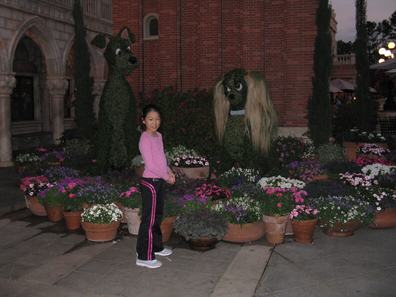 A random Piwigo travel image