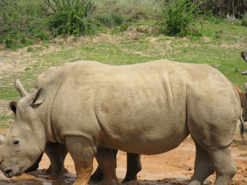 A random Piwigo travel image