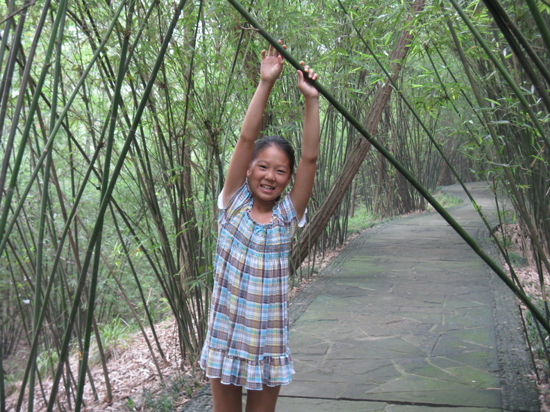 A random Piwigo travel image