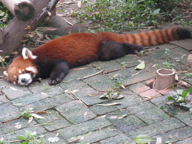 A random Piwigo travel image