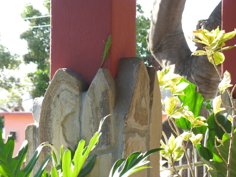 A random Piwigo travel image