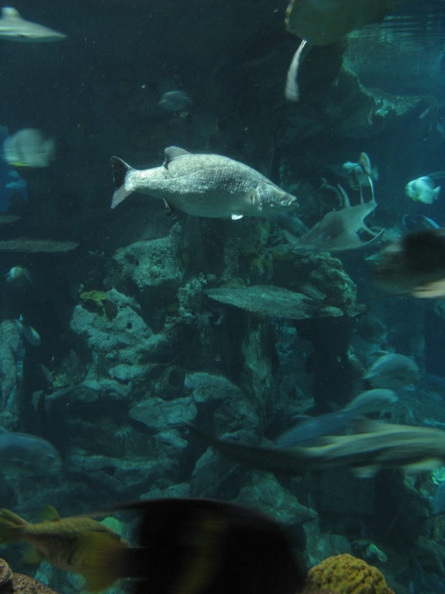 A random Piwigo travel image