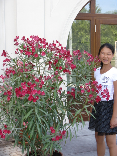 A random Piwigo travel image