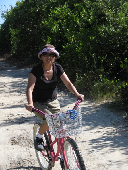 A random Piwigo travel image