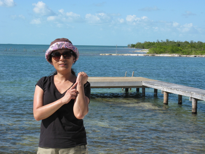 A random Piwigo travel image