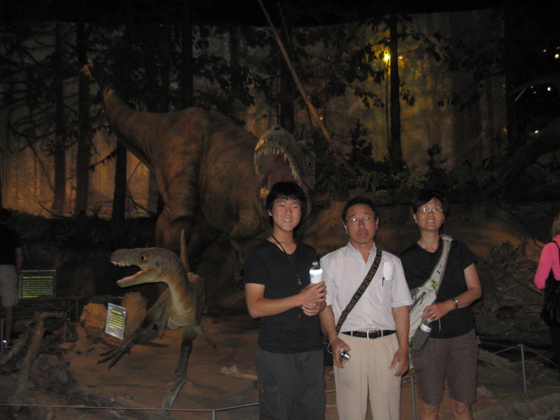 A random Piwigo travel image