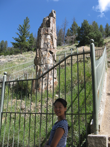 A random Piwigo travel image