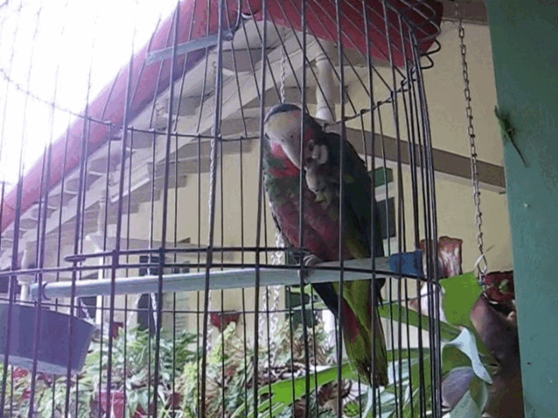 A random Piwigo travel image