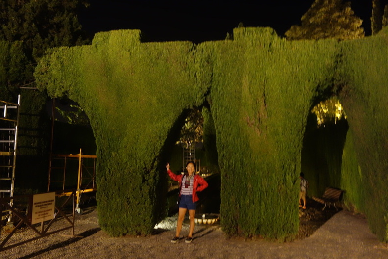 A random Piwigo travel image