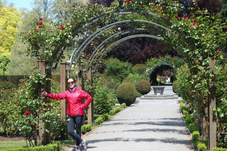 A random Piwigo travel image