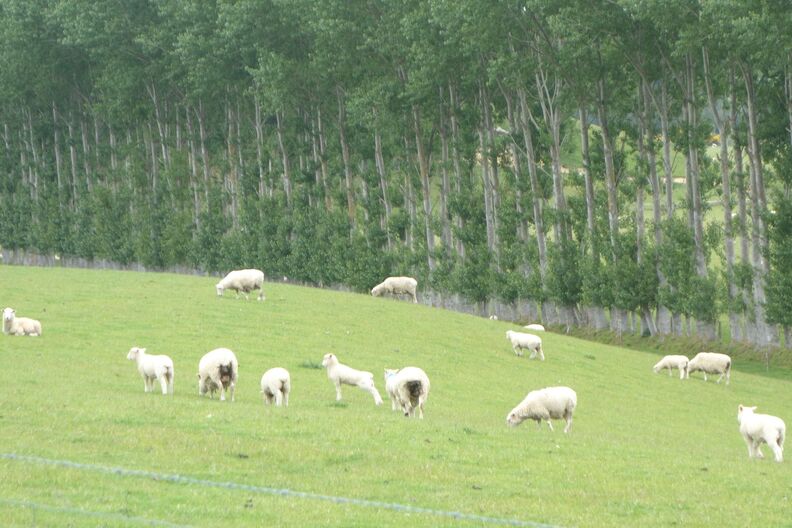 A random Piwigo travel image