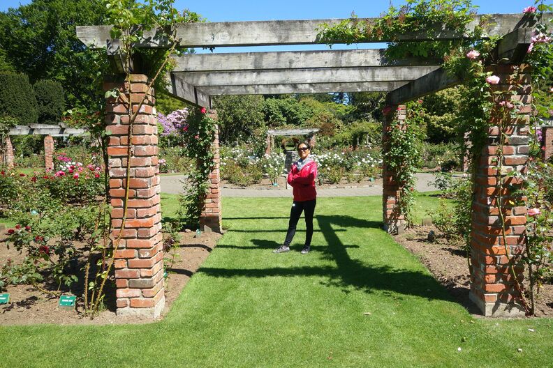 A random Piwigo travel image