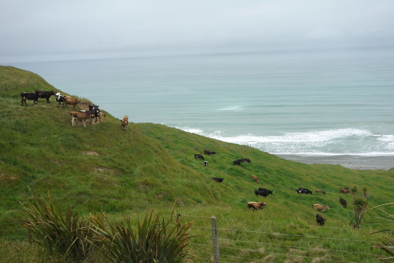 A random Piwigo travel image