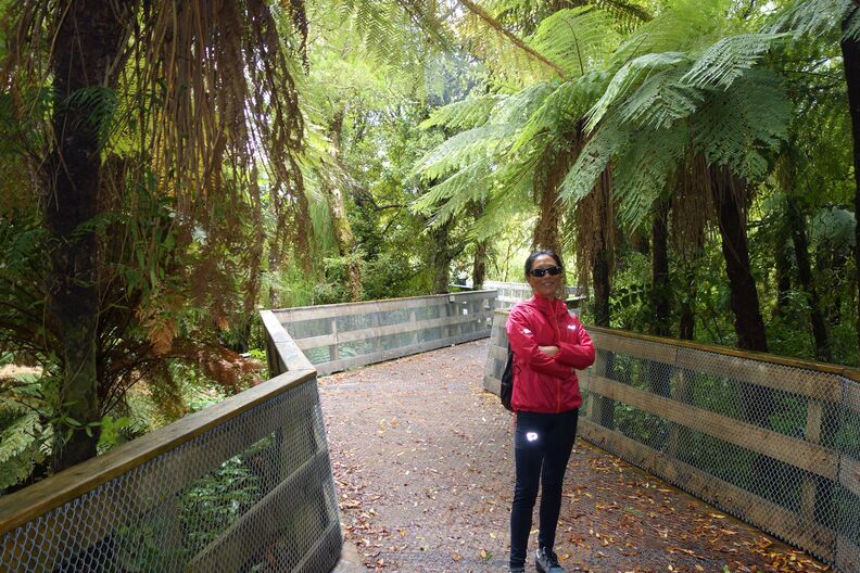 A random Piwigo travel image