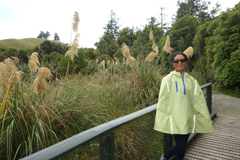 A random Piwigo travel image