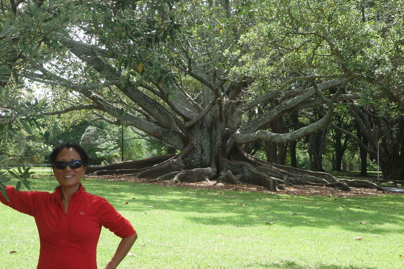 A random Piwigo travel image