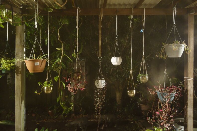 A random Piwigo travel image