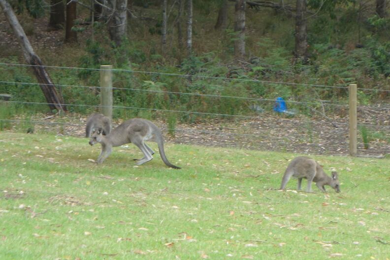 A random Piwigo travel image