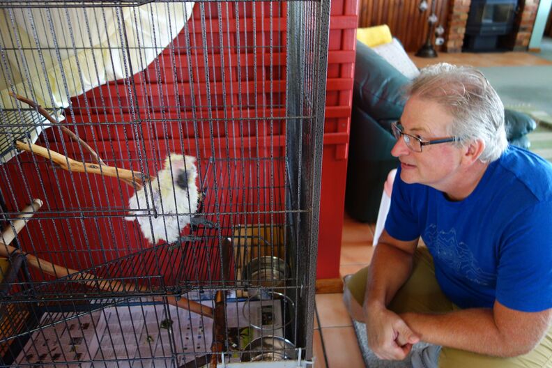 A random Piwigo travel image