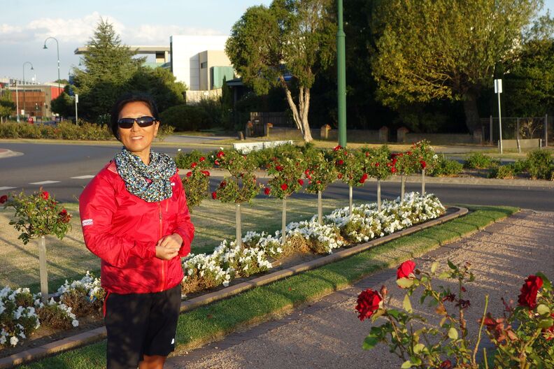 A random Piwigo travel image