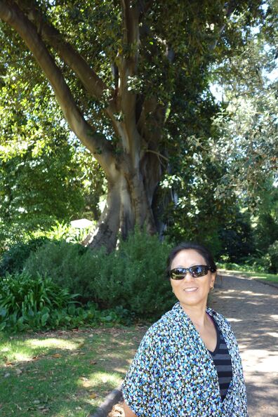 A random Piwigo travel image