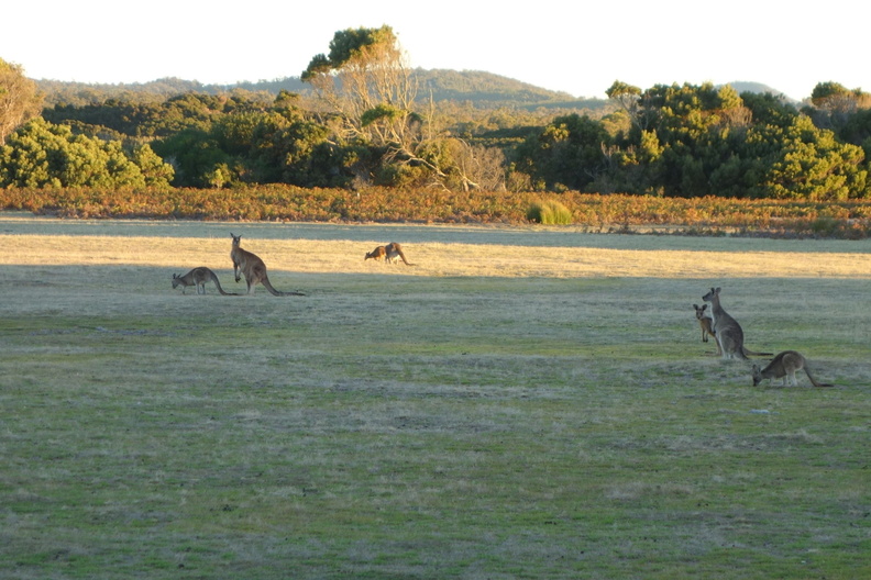 A random Piwigo travel image