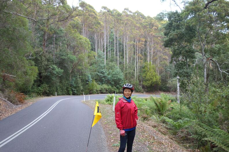 A random Piwigo travel image