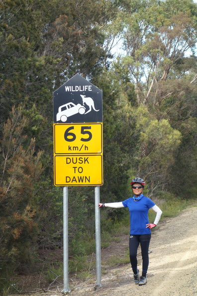 A random Piwigo travel image