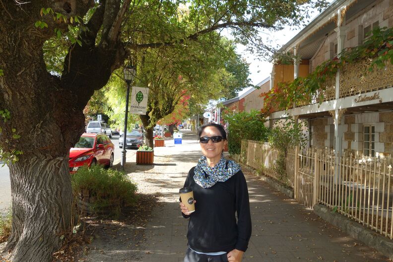A random Piwigo travel image