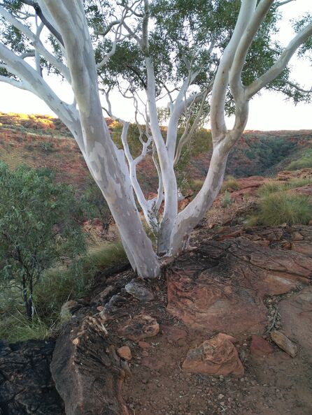 A random Piwigo travel image