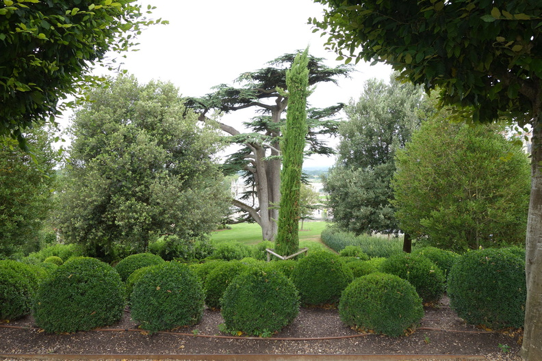 A random Piwigo travel image