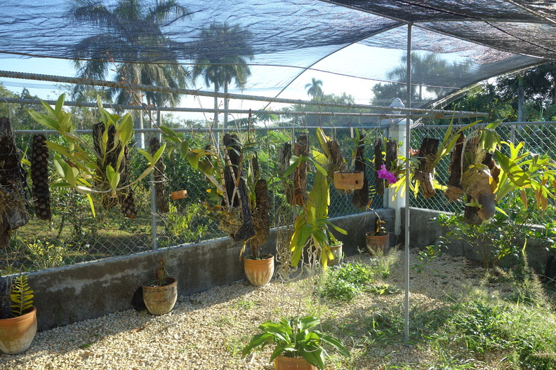 A random Piwigo travel image