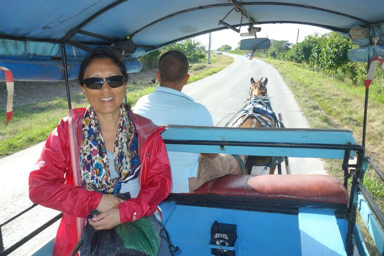 A random Piwigo travel image