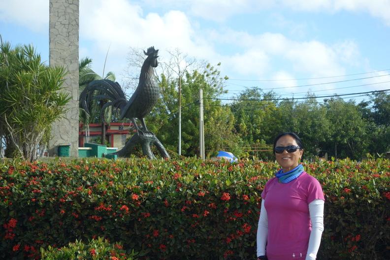 A random Piwigo travel image