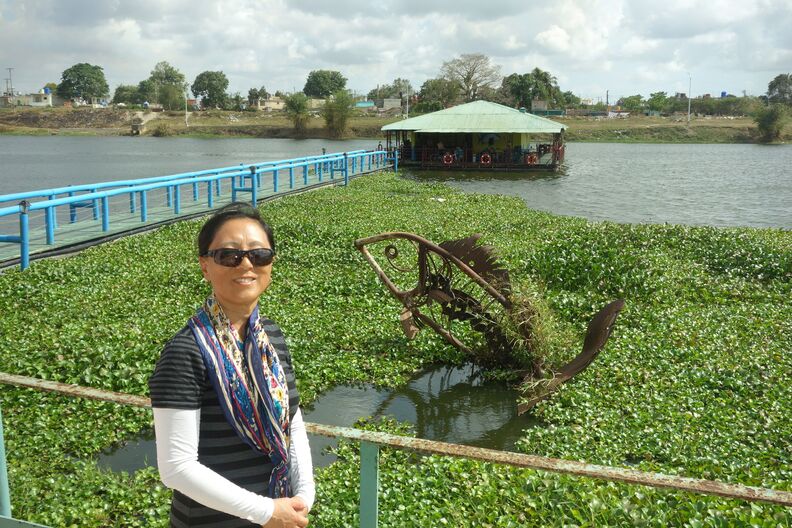 A random Piwigo travel image