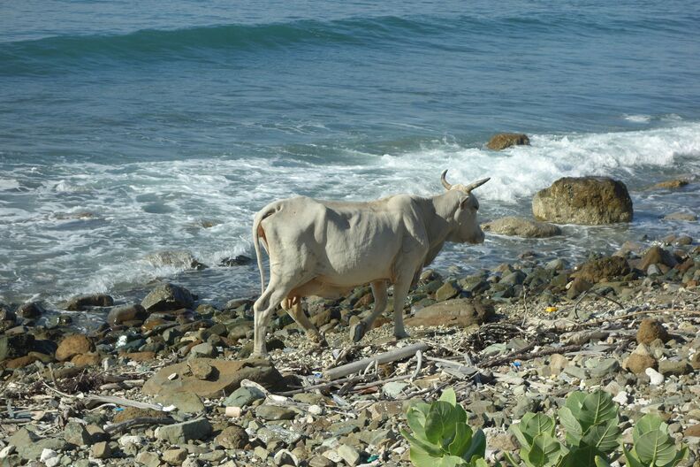 A random Piwigo travel image