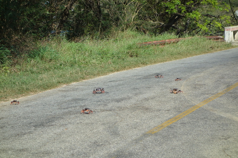 A random Piwigo travel image