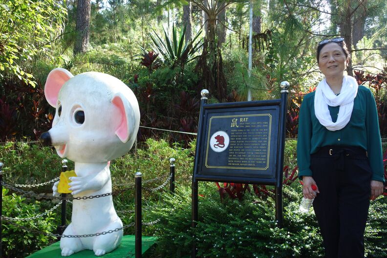 A random Piwigo travel image