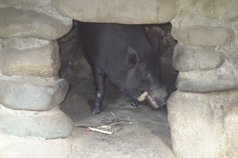 A random Piwigo travel image