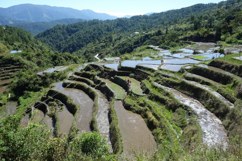 A random Piwigo travel image